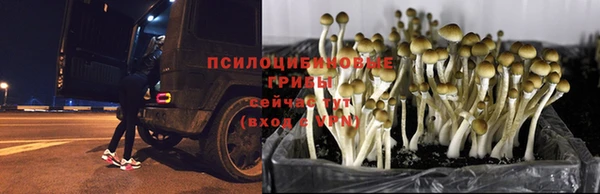 синтетический гашиш Нефтекумск